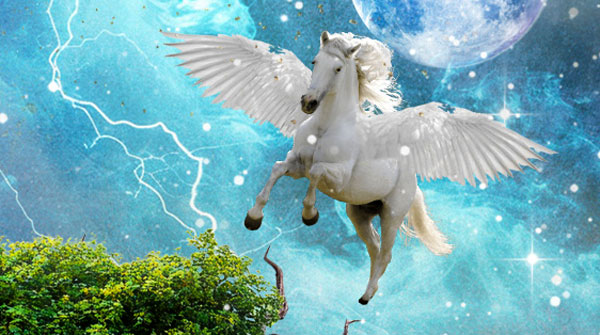 Year of the Horse